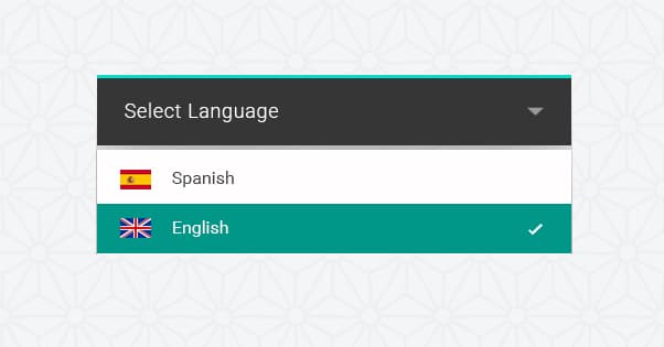 Bilingual Website Language Selection