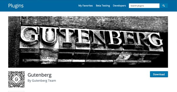 Oficialus „Gutenberg“ papildinys