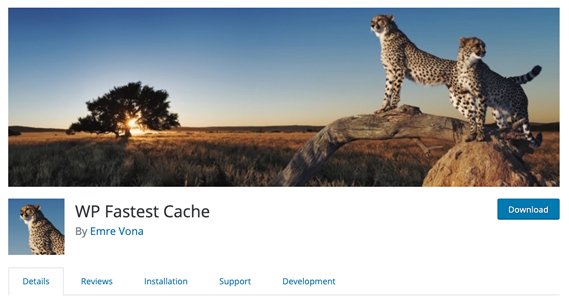 WP Fastest Cache Page